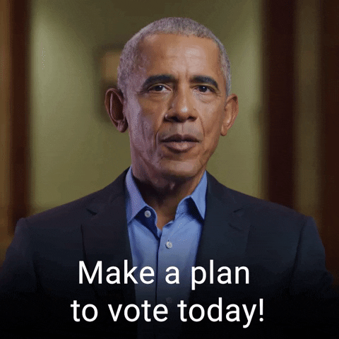 Voting Barack Obama GIF by The Democrats