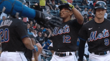Home Run Sport GIF by SNY