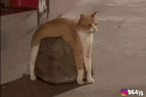 Relaxed Sunday Afternoon GIF