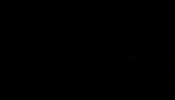 Love GIF by Les Grands Ballets Canadiens