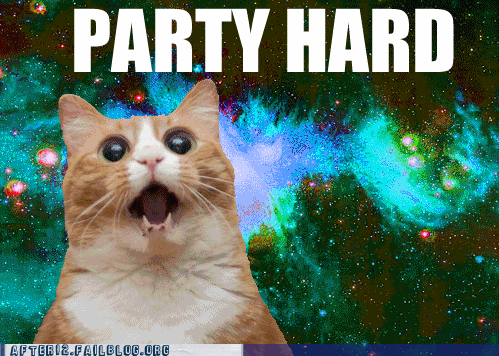 Partied Hard GIFs - Get the best GIF on GIPHY
