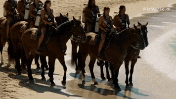 GIF by Buceo Madrid