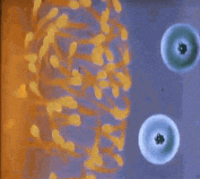 animation vintage GIF by General Electric