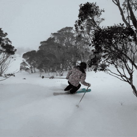 GIF by Thredbo
