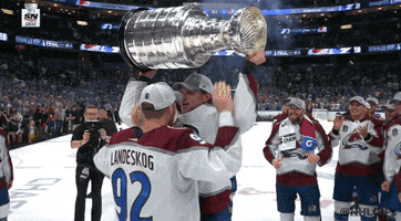 Stanley Cup Hockey GIF by NHL