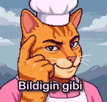Cat Kitty GIF