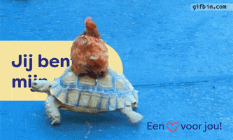 Ditismbo GIF by ROC Midden Nederland