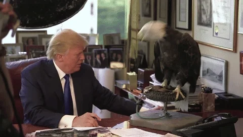 scared trump GIF