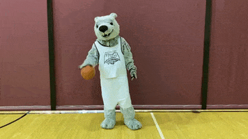 Game Time Basketball GIF by Cardinal Stritch University
