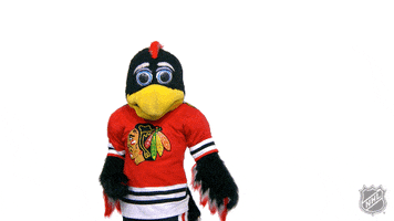 What Smells Chicago Blackhawks GIF by NHL