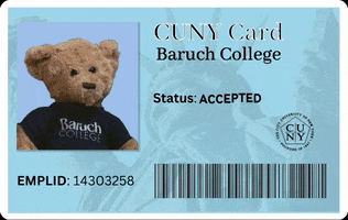 baruch_admission teddy class of admissions cuny GIF