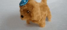 Dog Toy GIF by Sonbaterias
