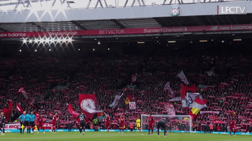 premier league football GIF by Liverpool FC