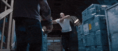 Fast And Furious Fighting GIF by The Fast Saga