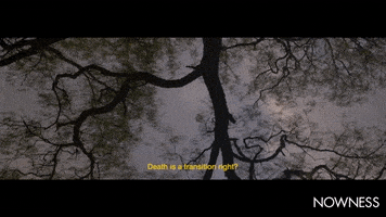 Festival Fireworks GIF by NOWNESS