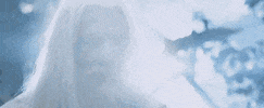 gandalf the white GIF