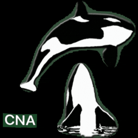 Orcas Cna GIF