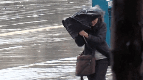 Umbrella GIF - Find & Share on GIPHY