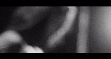 anaarnt  GIF