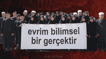 Akp Evrim GIF
