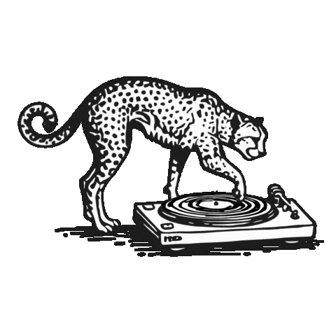 Las Olas Sticker by Gulfstream Park