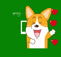 Springhung GIF by Pirgalabau