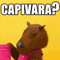 Capivaras GIFs - Get the best GIF on GIPHY