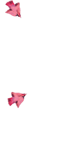 Bird Ardeche Sticker by Département de l'Ardèche