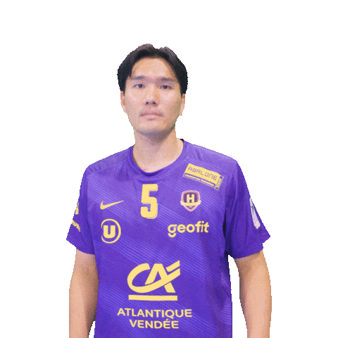 Japan Handball Sticker by HBCNantes