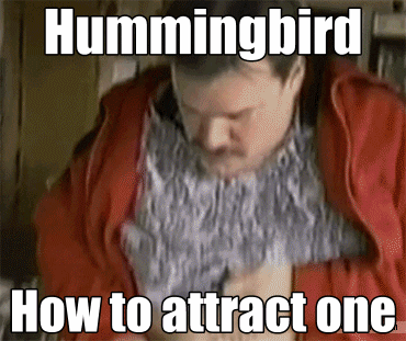 flirting memes sarcastic people memes gif flirting memes sarcastic people memes gif