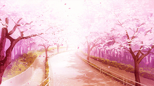 Aesthetic Cherry Blossom Anime Background