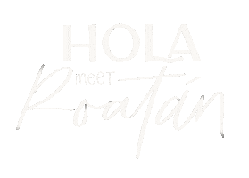 Travel Island Sticker by MeetRoatan