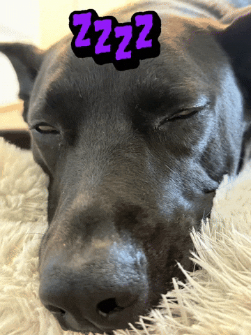 Zzzz GIF by Vitalsaludkids
