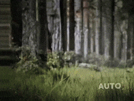 Im In Please Continue GIF