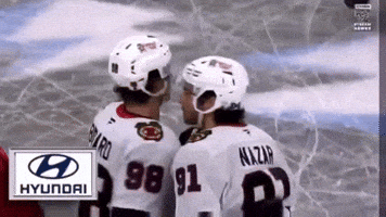 Best Friend Nhl GIF