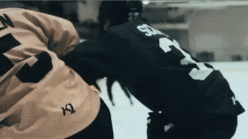 Hockey Fail GIF
