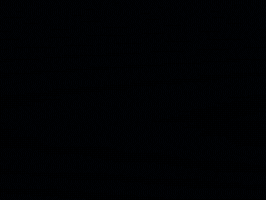 Arizona Wildcats GIF by Arizona Athletics