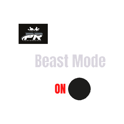 PPRerformance.Team Sticker