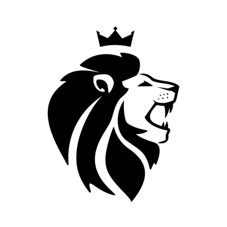 RYK Motors Sticker