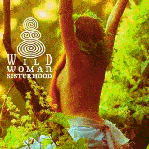 WildWomanSisterhood GIF