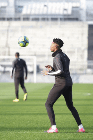 Amiens SC GIF