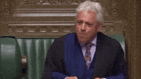 parliament-john-bercow-speaker-of-the-house-ZXwppK51PjNTQp8ILO