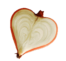 Popcebolla Sticker by Los Vasquez