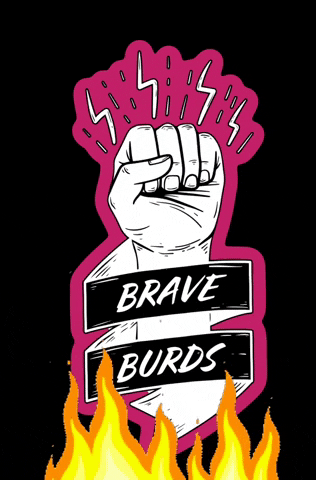 Braveburds GIF