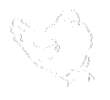 Pigeon Sticker