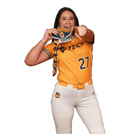 Softball Sticker by WVU Tech Golden Bears