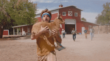 Luis Gerardo Mendez GIF
