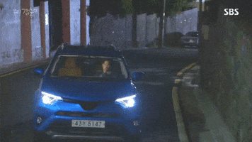 sopieels  GIF