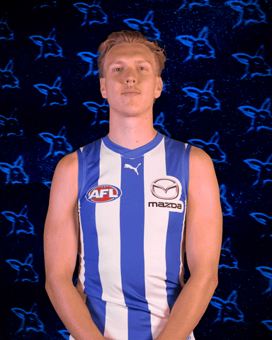 Ice Afl GIF by North Melbourne FC