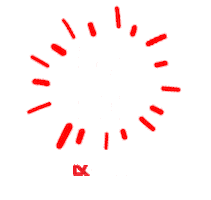 academiaideal Sticker